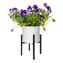 18512 - Richmond Plant Stand - Black square pot